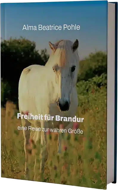 Buchcover Freiheit für Brandur