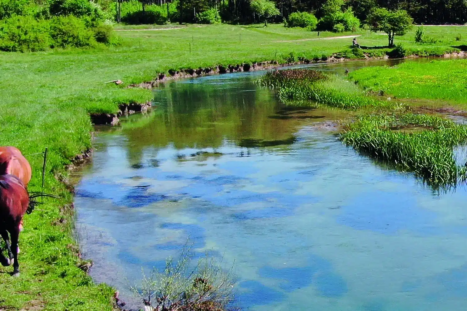 Klarer Fluss schlängelt sich durch grüne Wiesen bei Livno