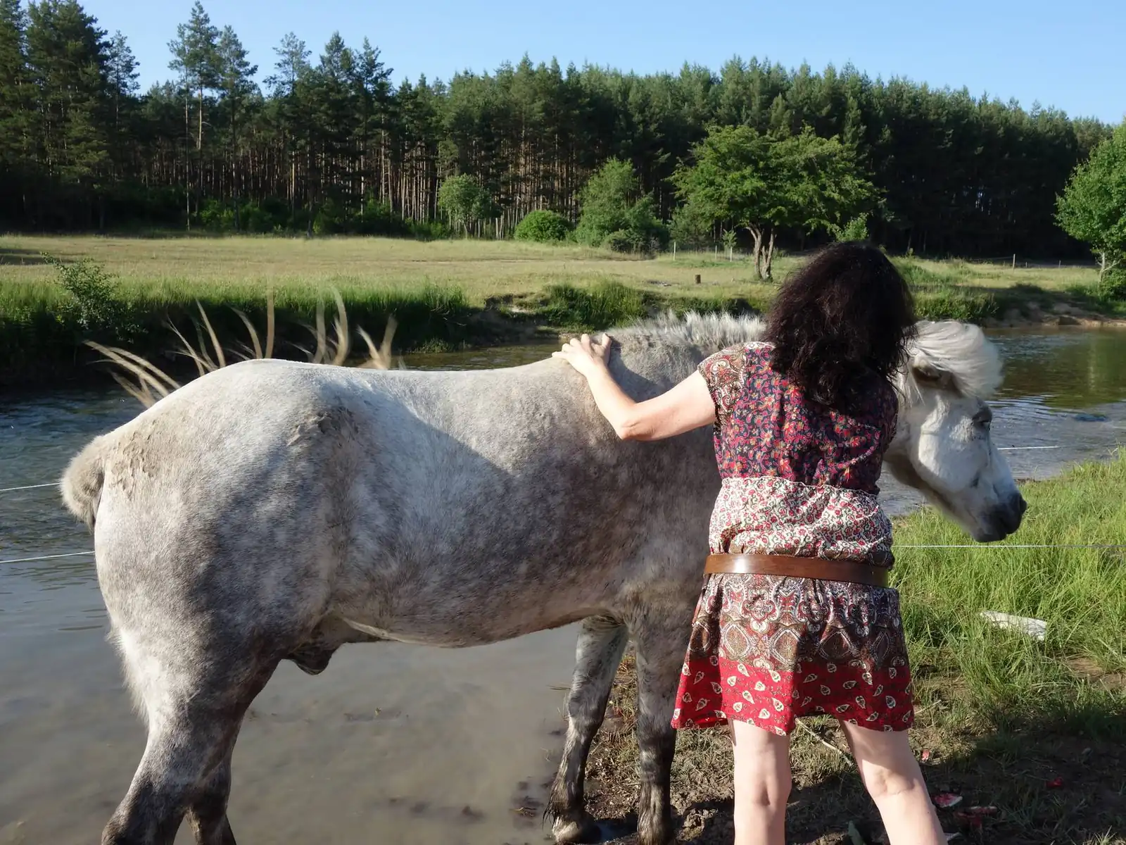 Frau steht bei einem weißen Pferd