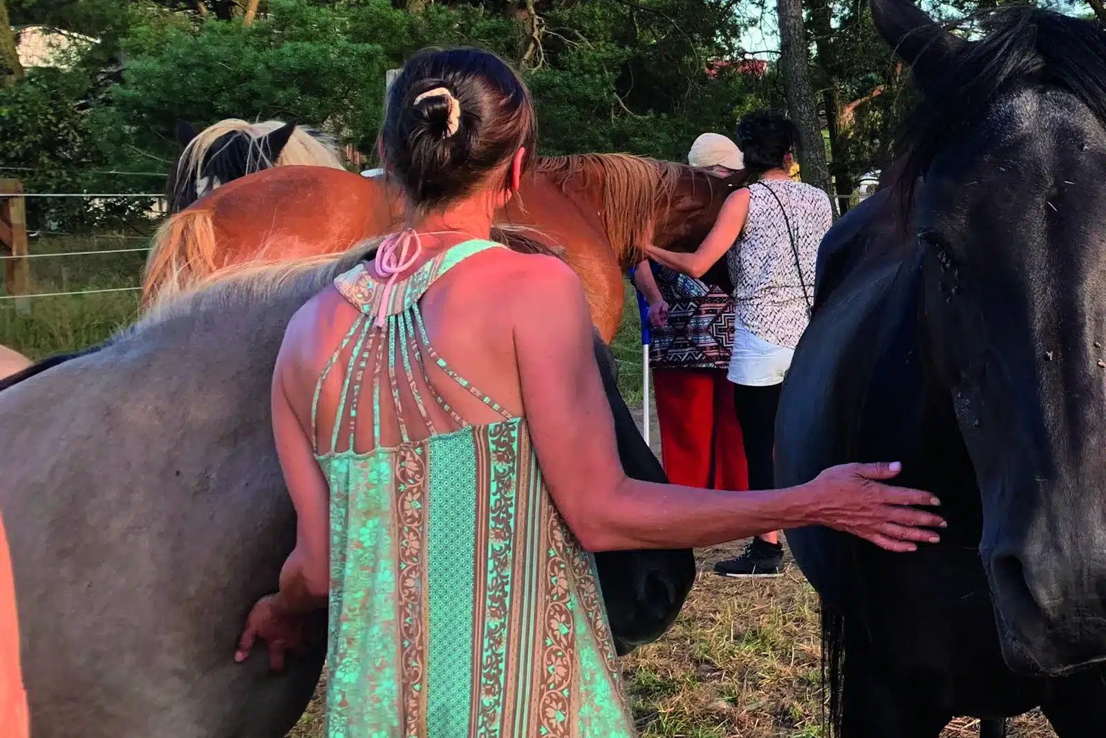 Frau legt die Hand auf ein Pferd inmitten der Herde