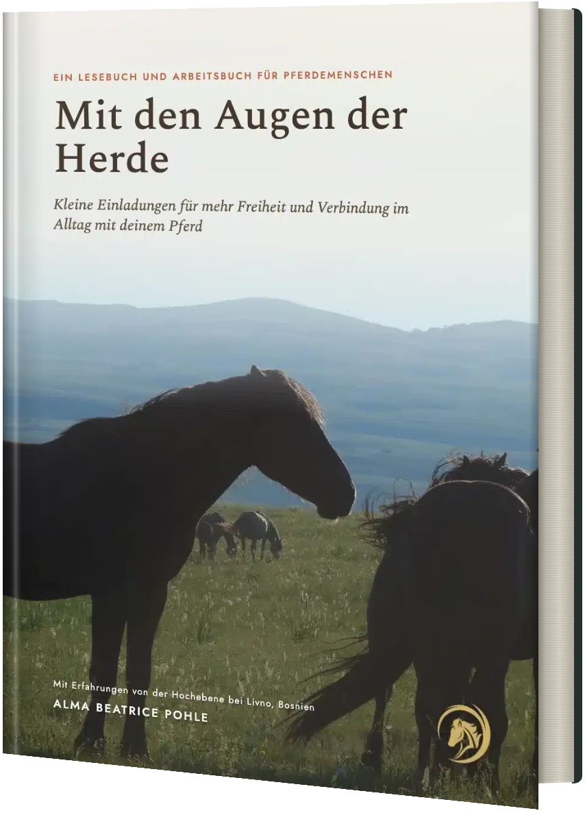 E-Book „Mit den Augen der Herde“ von Alma Beatrice Pohle